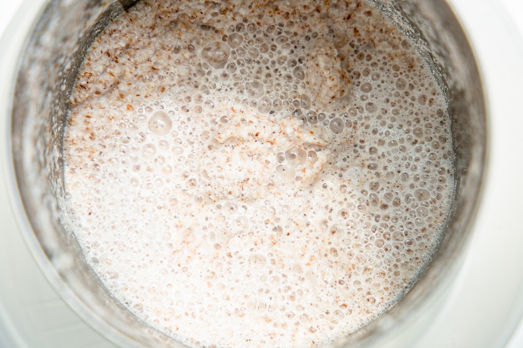 Almond Cow review, nut milk machine, homemade nut milk